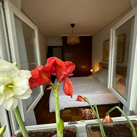 Piso Grande Reformado Y Centrico Apartamento *
